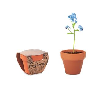 FORGET ME NOT