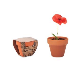 RED POPPY