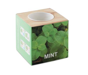 MENTA