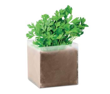 PARSELY