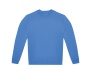 ID222_52.jpg