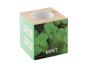 MENTA